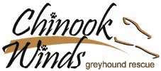 Chinook Winds Greyhound Rescue